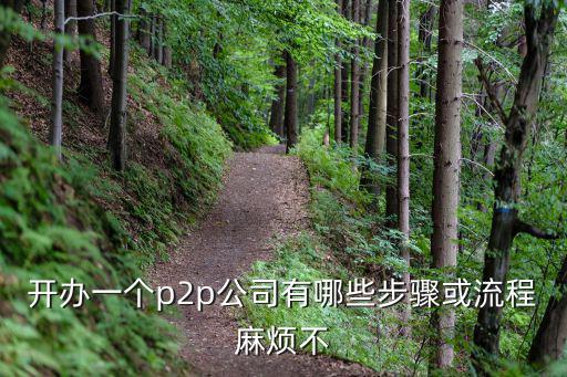 開(kāi)辦一個(gè)p2p公司有哪些步驟或流程麻煩不