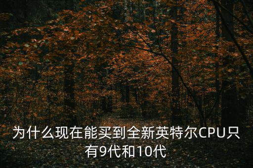 為什么現(xiàn)在能買到全新英特爾CPU只有9代和10代