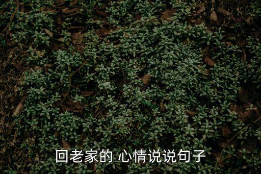 回家的心情,回家路有短有長，短的是距離長的是心情