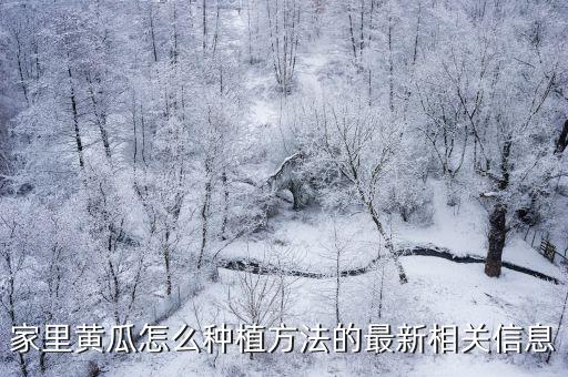 黃瓜怎么種，有誰知道怎么種植黃瓜