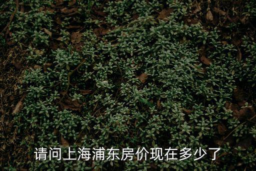 請問上海浦東房價現(xiàn)在多少了