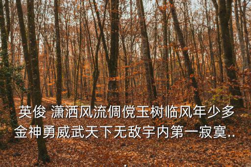  英俊 瀟灑風流倜儻玉樹臨風年少多金神勇威武天下無敵宇內第一寂寞...
