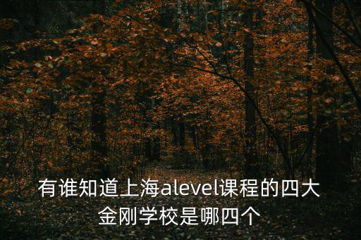 上海ALEVEL培訓(xùn)學(xué)校，上海ALEVEL輔導(dǎo)學(xué)校哪家最好瑞瑪ALEVEL 輔導(dǎo)中心