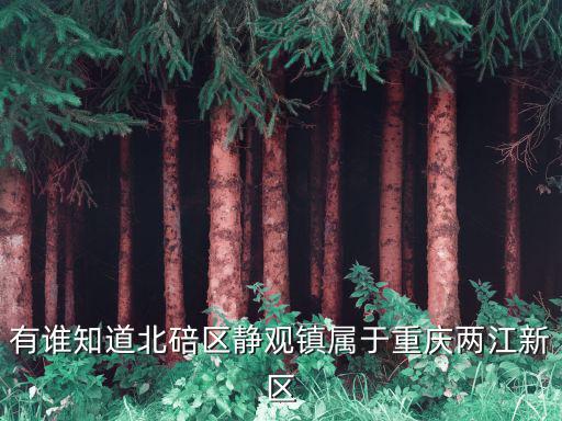 重慶市北碚區靜觀鎮鎮長是哪位，重慶市北碚區靜觀鎮學校有哪些