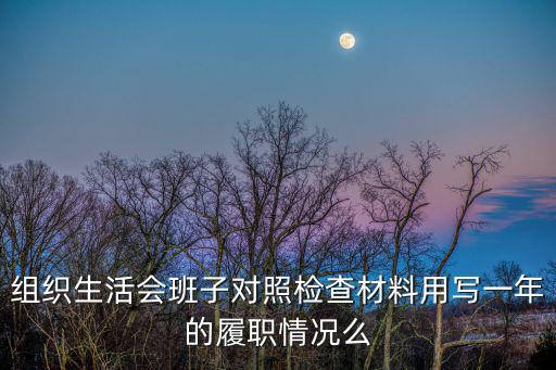 組織生活會班子對照檢查材料用寫一年的履職情況么