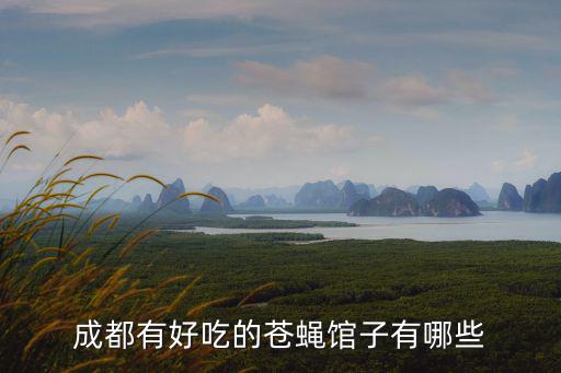 成都有好吃的蒼蠅館子有哪些