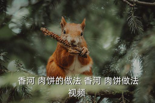  香河 肉餅的做法 香河 肉餅做法視頻