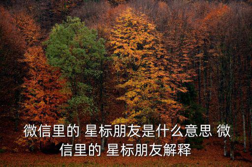  微信里的 星標朋友是什么意思 微信里的 星標朋友解釋