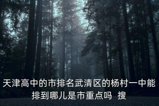 天津高中的市排名武清區的楊村一中能排到哪兒是市重點嗎  搜