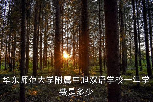 華東師范大學(xué)附屬中旭雙語學(xué)校一年學(xué)費(fèi)是多少
