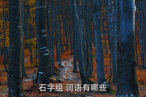 石的詞語,石頭:大小和形狀不確定的礦物冷凝物