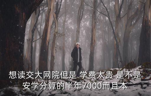 想讀交大網院但是 學費太貴 是不是安學分算的半年7000而且本
