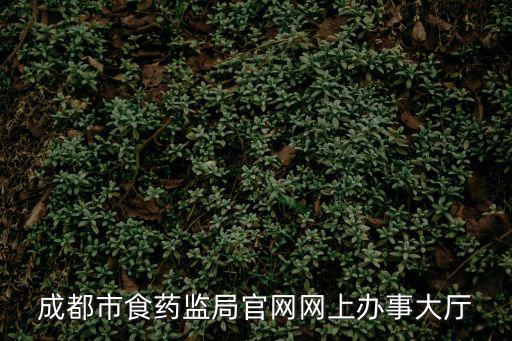 成都市食藥監(jiān)局官網(wǎng)網(wǎng)上辦事大廳