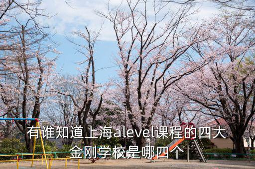 上海四大alevel學(xué)校，有誰知道上海alevel課程的四大金剛學(xué)校是哪四個