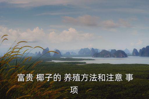  富貴 椰子的 養殖方法和注意 事項