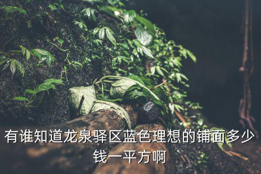 有誰知道龍泉驛區藍色理想的鋪面多少錢一平方啊
