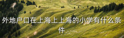 上海國際小學入學條件，外地戶口在上海上上海的小學有什么條件