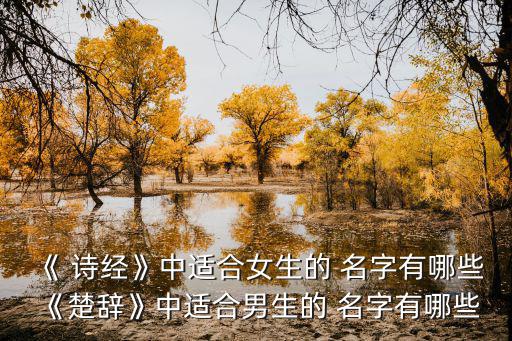 出自詩經(jīng)的名字,《楚辭》中的男生名字:1、1