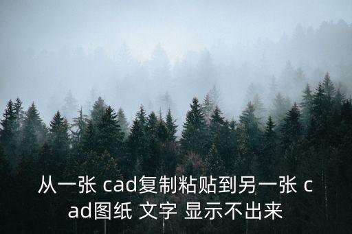 cad文字不顯示,怎么打印cad圖紙?