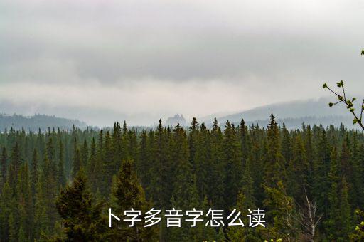 卜字多音字怎么讀