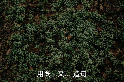 用既…又… 造句