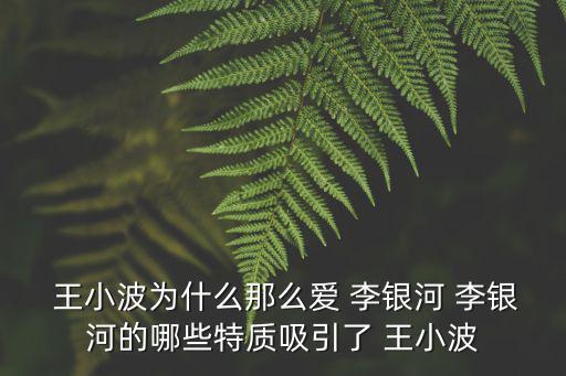  王小波為什么那么愛 李銀河 李銀河的哪些特質(zhì)吸引了 王小波