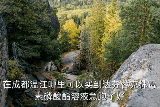 在成都溫江哪里可以買到達芬蓉克林霉素磷酸酯溶液急跑了好