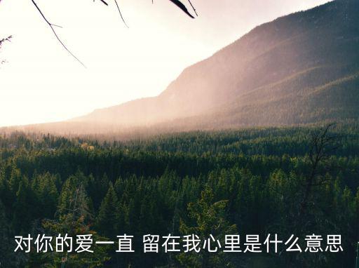 對你的愛一直 留在我心里是什么意思