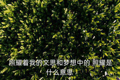  照耀著我的文思和夢想中的 照耀是什么意思