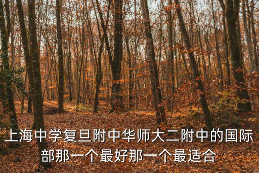 上海中學(xué)復(fù)旦附中華師大二附中的國(guó)際部那一個(gè)最好那一個(gè)最適合