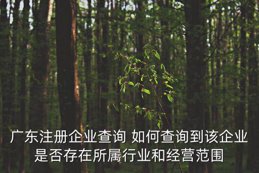廣東注冊企業查詢 如何查詢到該企業是否存在所屬行業和經營范圍