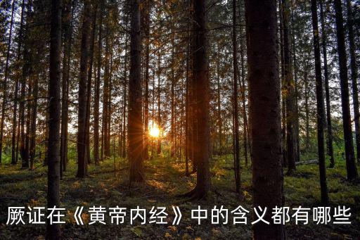 厥證在《黃帝內經》中的含義都有哪些