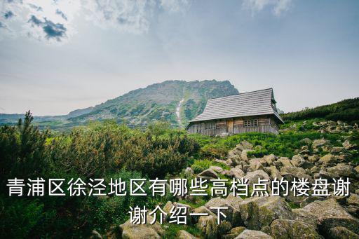 青浦區(qū)徐涇地區(qū)有哪些高檔點(diǎn)的樓盤(pán)謝謝介紹一下