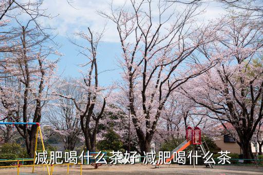  減肥喝什么茶好 減肥喝什么茶