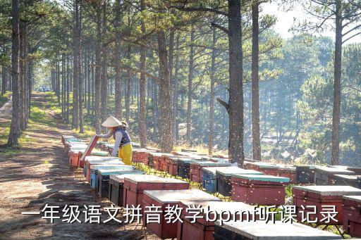一年級語文拼音教學(xué)bpmf聽課記錄
