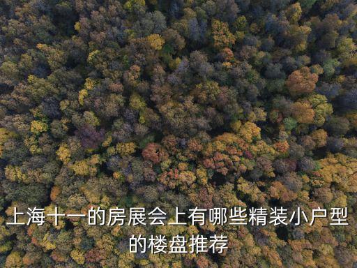 上海十一的房展會(huì)上有哪些精裝小戶型的樓盤推薦