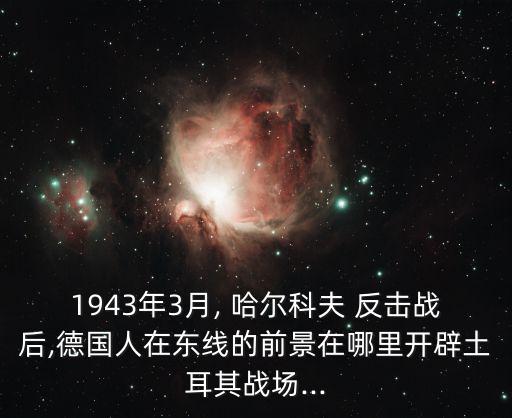 1943年3月, 哈爾科夫 反擊戰(zhàn)后,德國(guó)人在東線的前景在哪里開辟土耳其戰(zhàn)場(chǎng)...