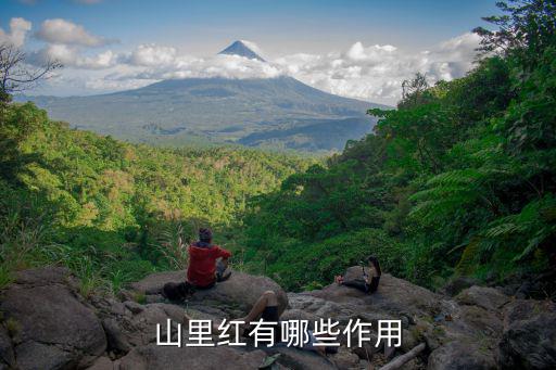 山植,我國北緯20度以北廣大地區有分布山植屬植物可食用