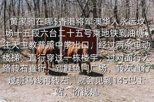  黃家駒在哪$香港將軍澳華人永遠墳場十五段六臺二十五號乘地鐵到油塘，往天主教普照中學出口，經過兩條電動樓梯，直行穿過一棟樓宇，過對面行人路轉右直行，到鯉魚門廣場，轉左直行過班馬線再轉左，就會見到14S巴士站，價錢是