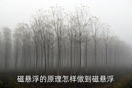 磁懸浮的原理怎樣做到磁懸浮
