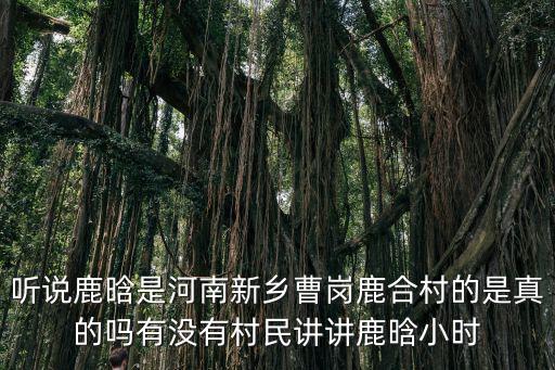 聽(tīng)說(shuō)鹿晗是河南新鄉(xiāng)曹崗鹿合村的是真的嗎有沒(méi)有村民講講鹿晗小時(shí)