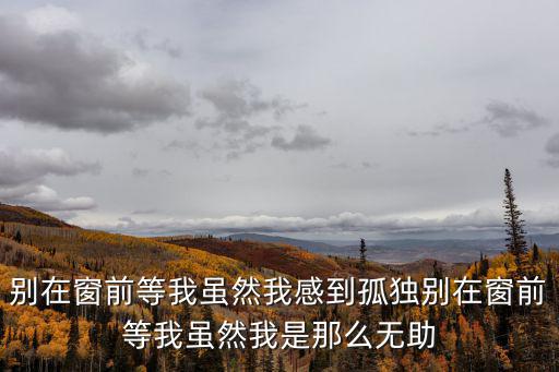 別在窗前等我雖然我感到孤獨別在窗前等我雖然我是那么無助