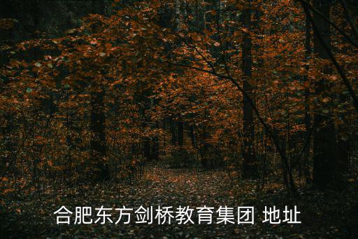 合肥東方劍橋教育集團 地址