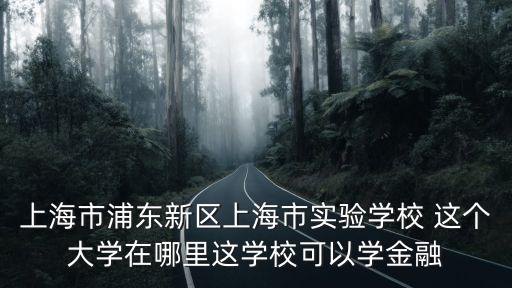 上海市浦東新區(qū)上海市實驗學(xué)校 這個大學(xué)在哪里這學(xué)校可以學(xué)金融