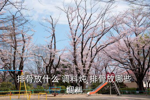  排骨放什么 調(diào)料燉 排骨放哪些 調(diào)料