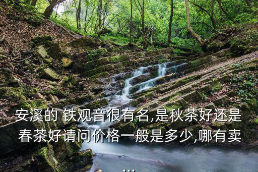 鐵觀音春茶價格,觀音春茶四季最佳因品質不考慮價格