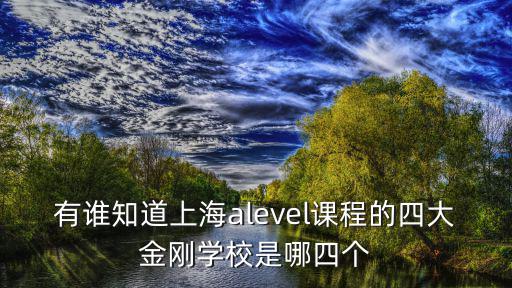 alevel國內(nèi)學(xué)校排名，有誰知道上海alevel課程的四大金剛學(xué)校是哪四個(gè)