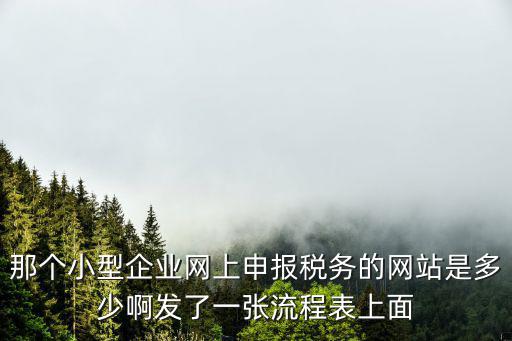 那個小型企業網上申報稅務的網站是多少啊發了一張流程表上面
