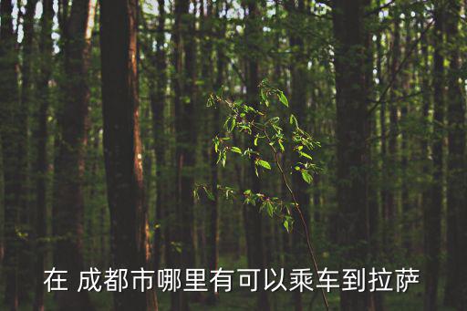 成都市涉藏，成都市哪里有藏族歌廳和酒吧