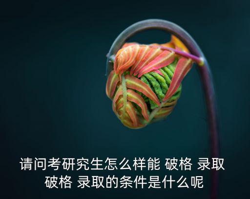 破格錄取,如何報(bào)考研究破格錄取?